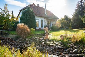 Garten mit Teich