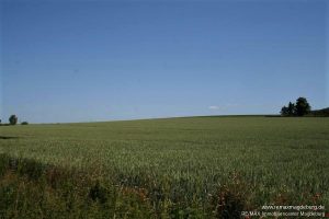 Ackerflächen