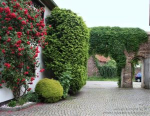 Einfahrt Hinterhof