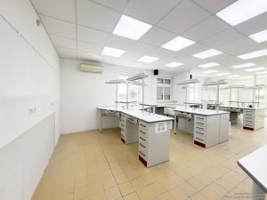 Arbeitszimmer EG