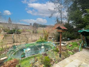 Garten 4
